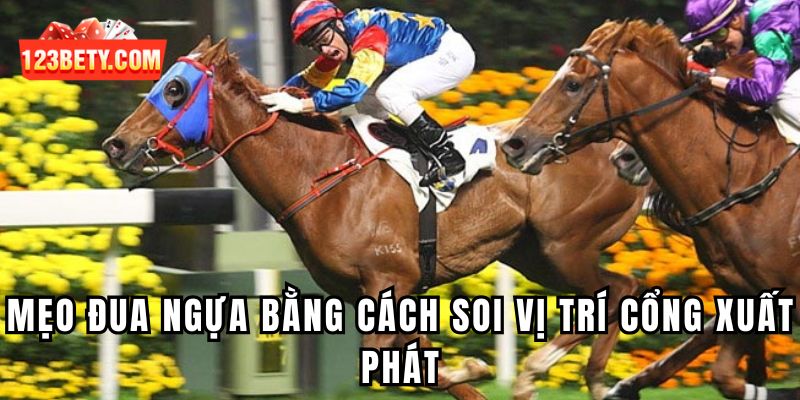 Mẹo đua ngựa bằng cách soi vị trí cổng xuất phát