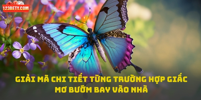 Giải mã chi tiết từng trường hợp giấc mơ thấy bướm bay vào nhà
