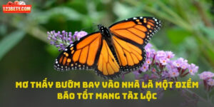 Mơ thấy bướm bay vào nhà