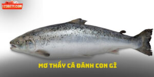 Mơ thấy cá đánh con gì ?