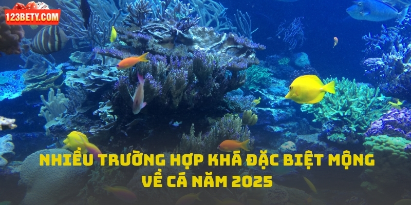 Nhiều trường hợp khá đặc biệt mộng về cá năm 2025