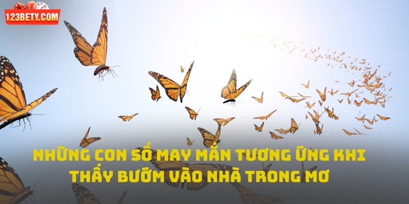 Những con số may mắn tương ứng khi thấy bướm vào nhà trong mơ