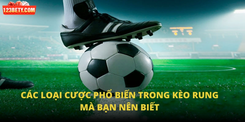 Các loại cược phổ biến trong kèo rung mà bạn nên biết