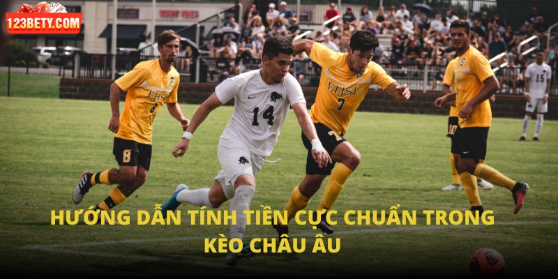 Hướng dẫn tính tiền cực chuẩn trong kèo châu Âu