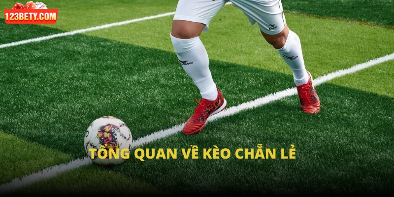 Tổng quan về kèo chẵn lẻ